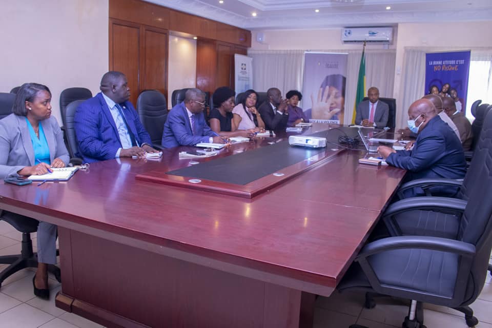 Conclusions des travaux d’élaboration de la stratégie d’élimination des épidémies de fièvre jaune au Gabon. 