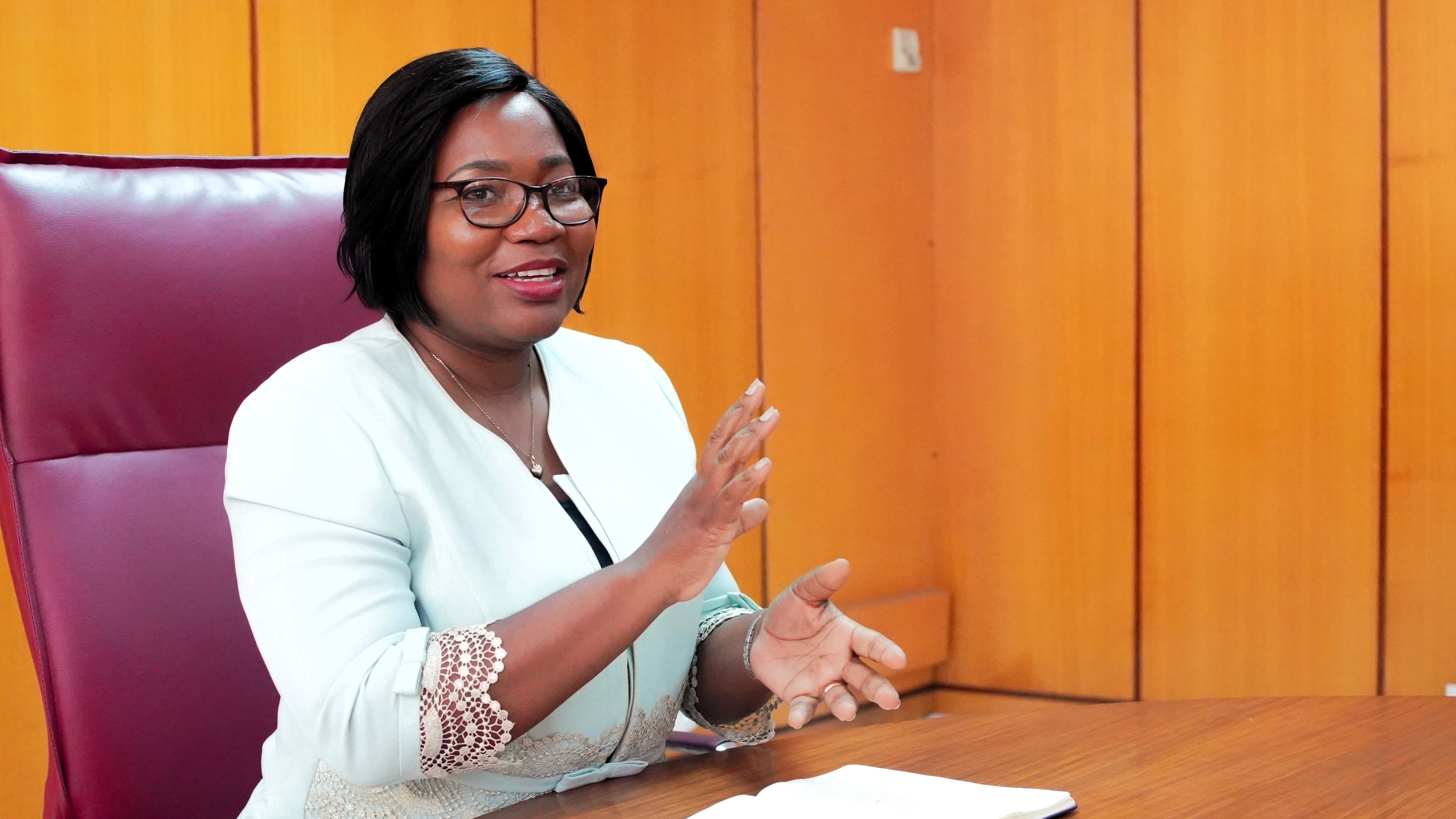 SEANCE DE TRAVAIL AU CABINET DU MINISTRE.